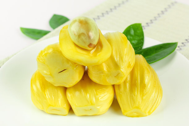 菠萝蜜种植致富项目,菠萝蜜快速种植方法