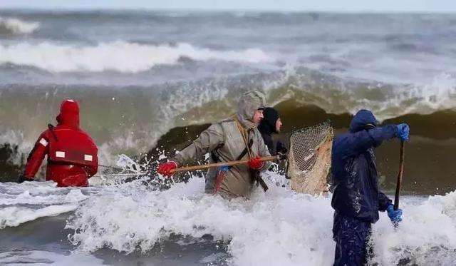 海边捡瓶子赚钱,国外捡蜜蜡