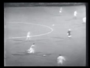 箭逐云鸿落鹰随月兔飞什么意思,箭逐云