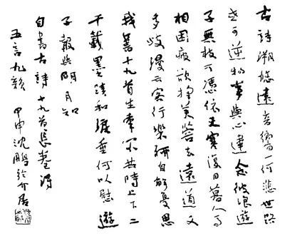 沈鹏书法评论,沈鹏书法代表作品有什么