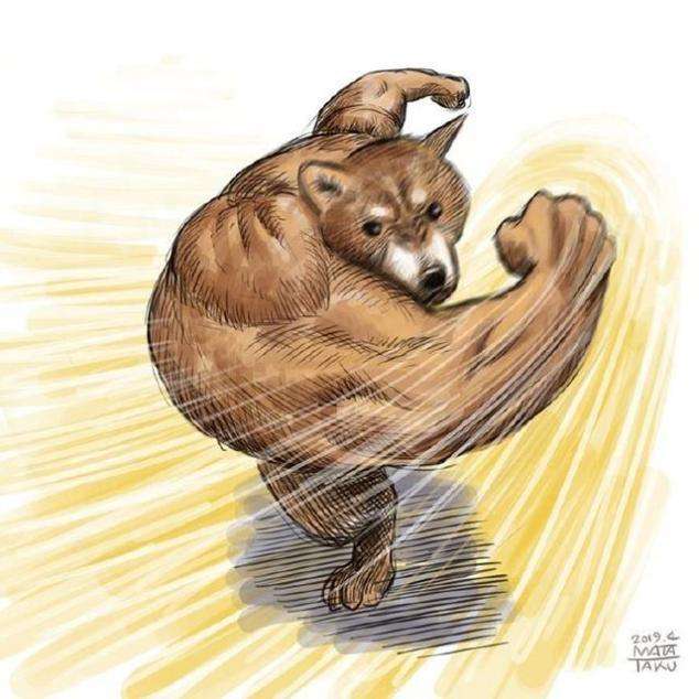 简单的搏击操练习,搏击操准备姿势