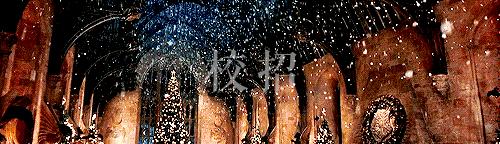 大学生创业真的好吗,大学生创业现实吗