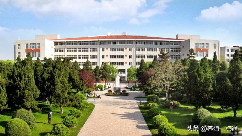 祁克宗,安徽农业大学教授、博导,动物疫病防控、畜禽安全专家