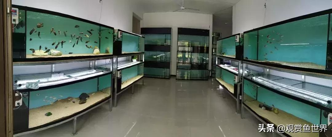 梦想的三湖世界持续建设中……方位:中国天津