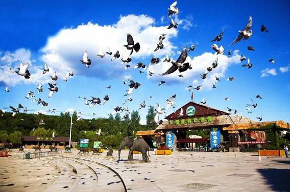 浑南旅游十大必去景点,浑南旅游攻略一日游