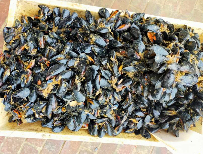 特色菜春天第一鲜,春天必吃的第一鲜