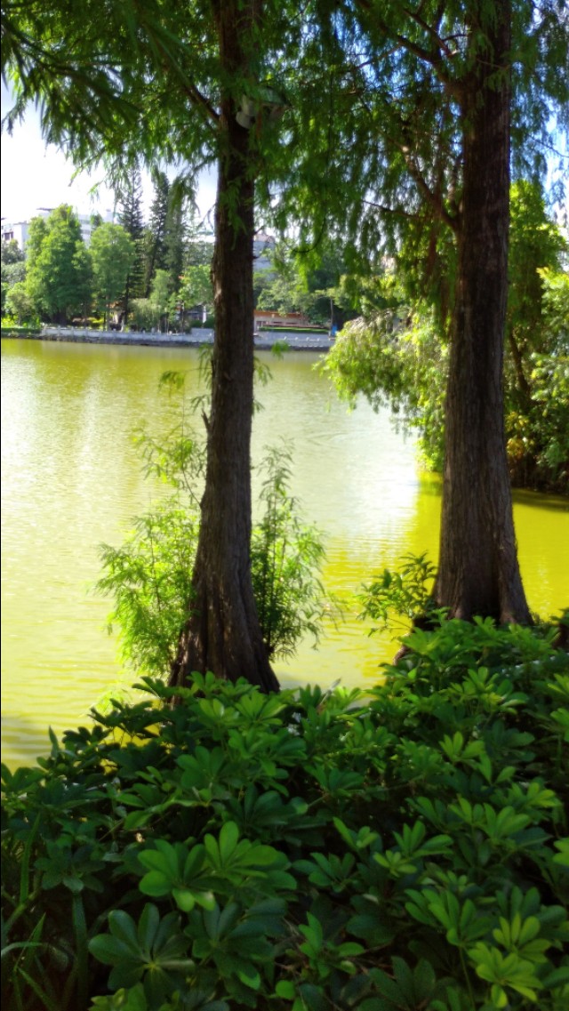 逸仙湖公园在哪,中山中心逸仙湖公园