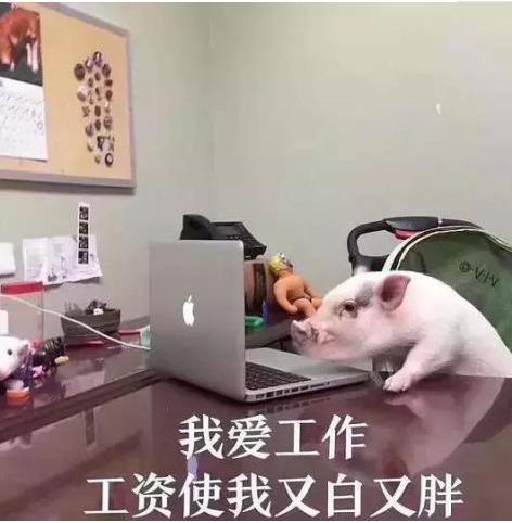 怎样搞点副业月入3000,月入5000的副业免费给大家公开