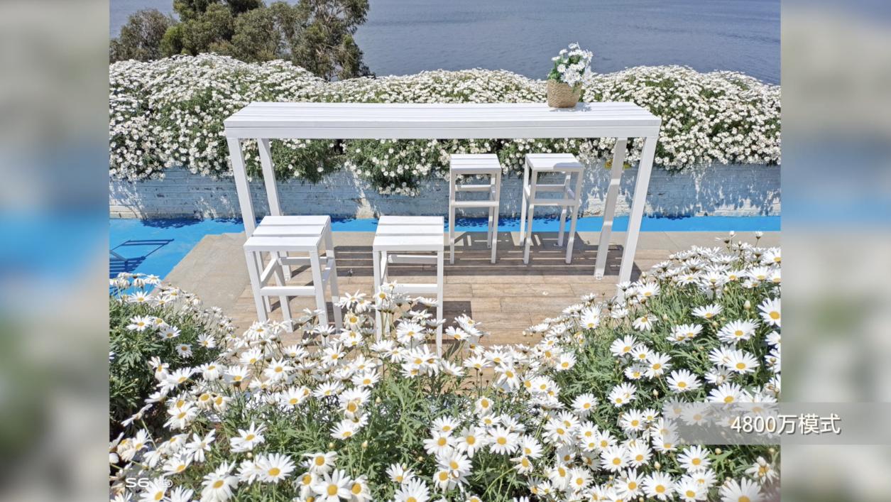 vivos6拍照效果,vivos6手机拍摄视频技巧和拍照片