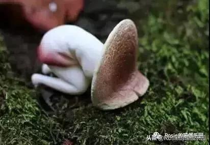 许一个新年愿望怎么写,许一个美好的愿望