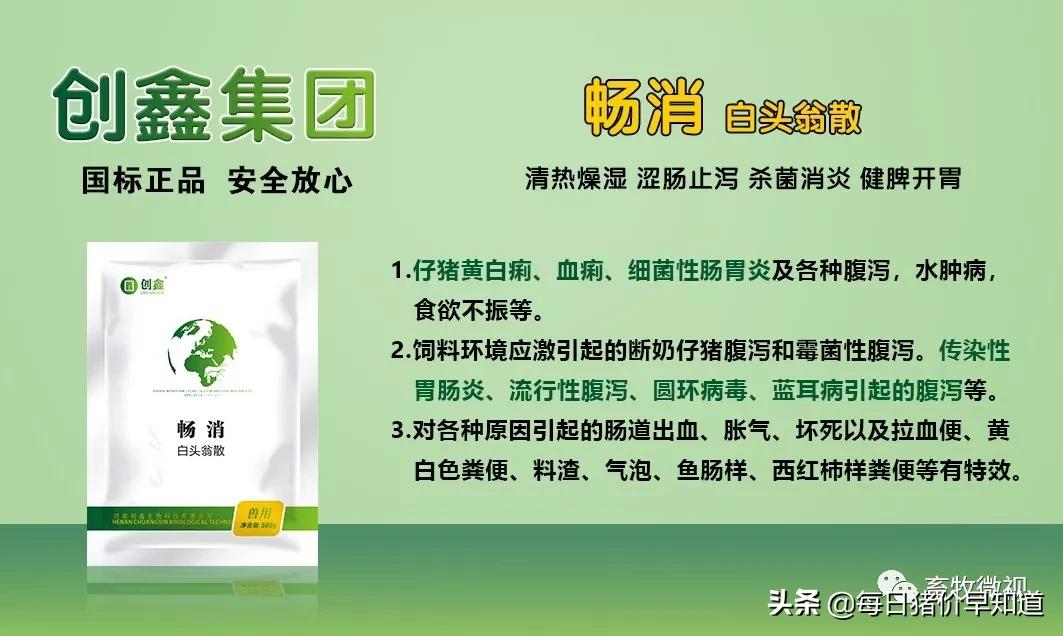 猪场流行拉稀病,冬天猪场全部拉稀呕吐怎么办