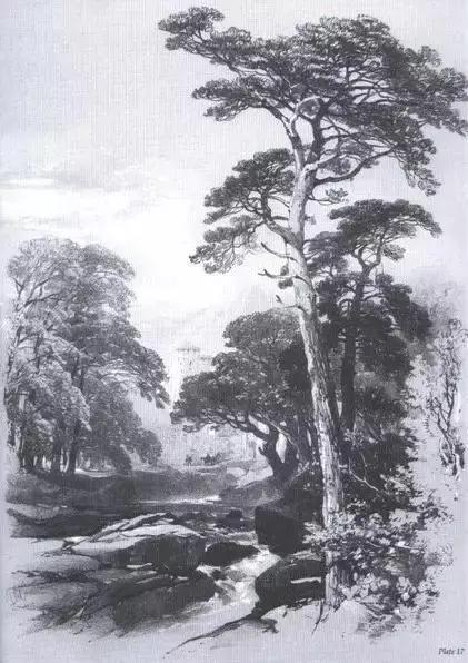 不会画就学别人画,不会画素描写生