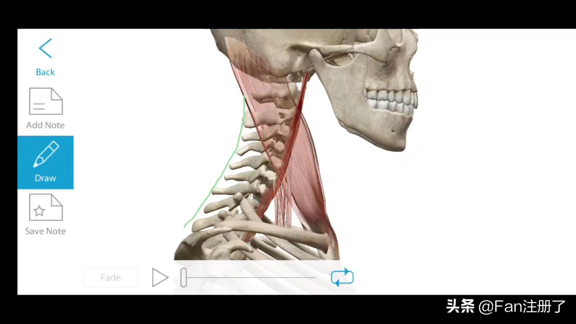 颈项痛怎么舒缓,什么病会导致颈项部疼痛