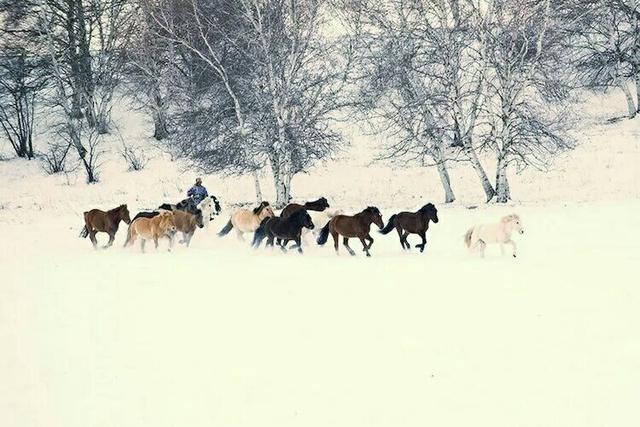 若木诗句七律,含有若木的诗句