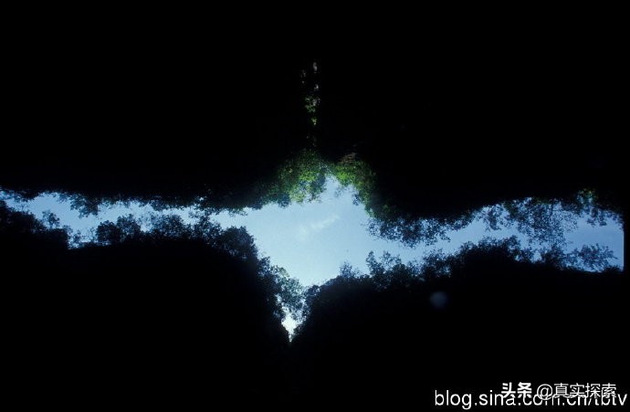 南漳老龙洞天坑视频,南漳县茅坪村老龙洞