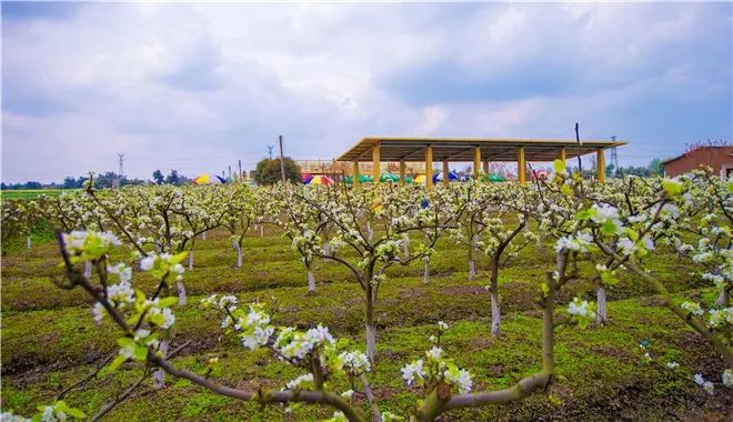 新都民国风情小镇,成都25个特色小镇