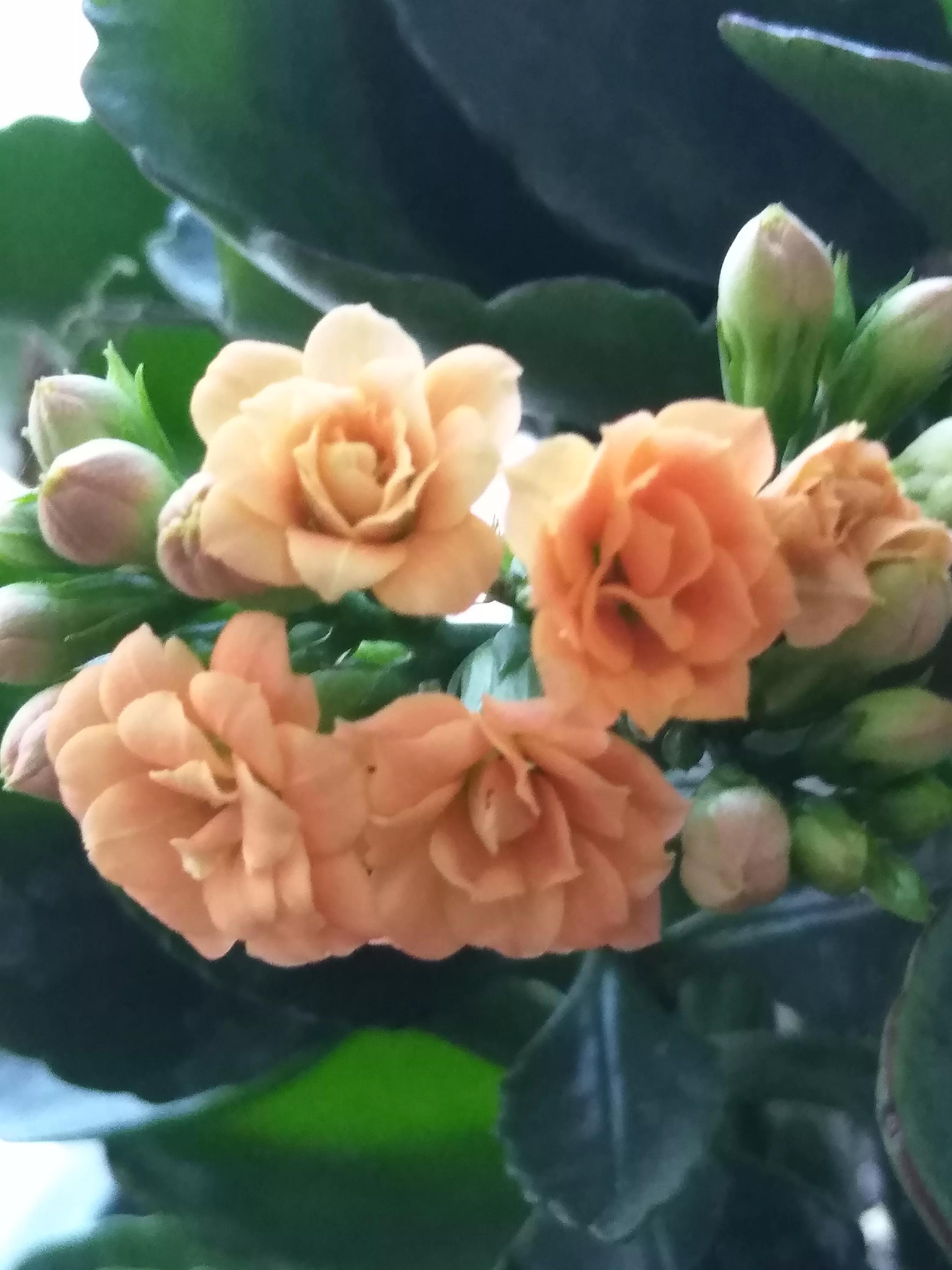 孩子考试70多分一点不着急怎么办,孩子考试76分属于正常吗