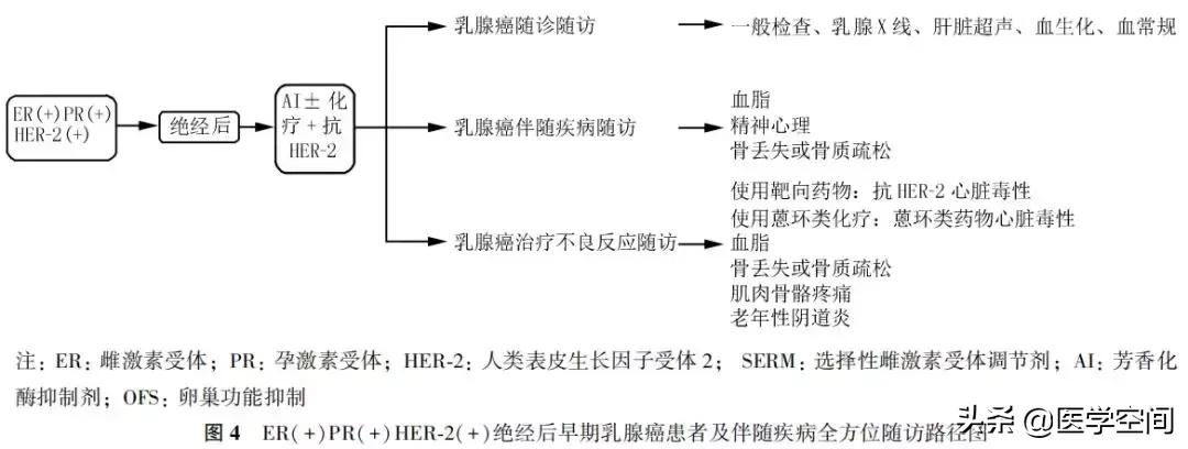 【指南与规范】乳腺癌随访及伴随疾病全方位管理指南