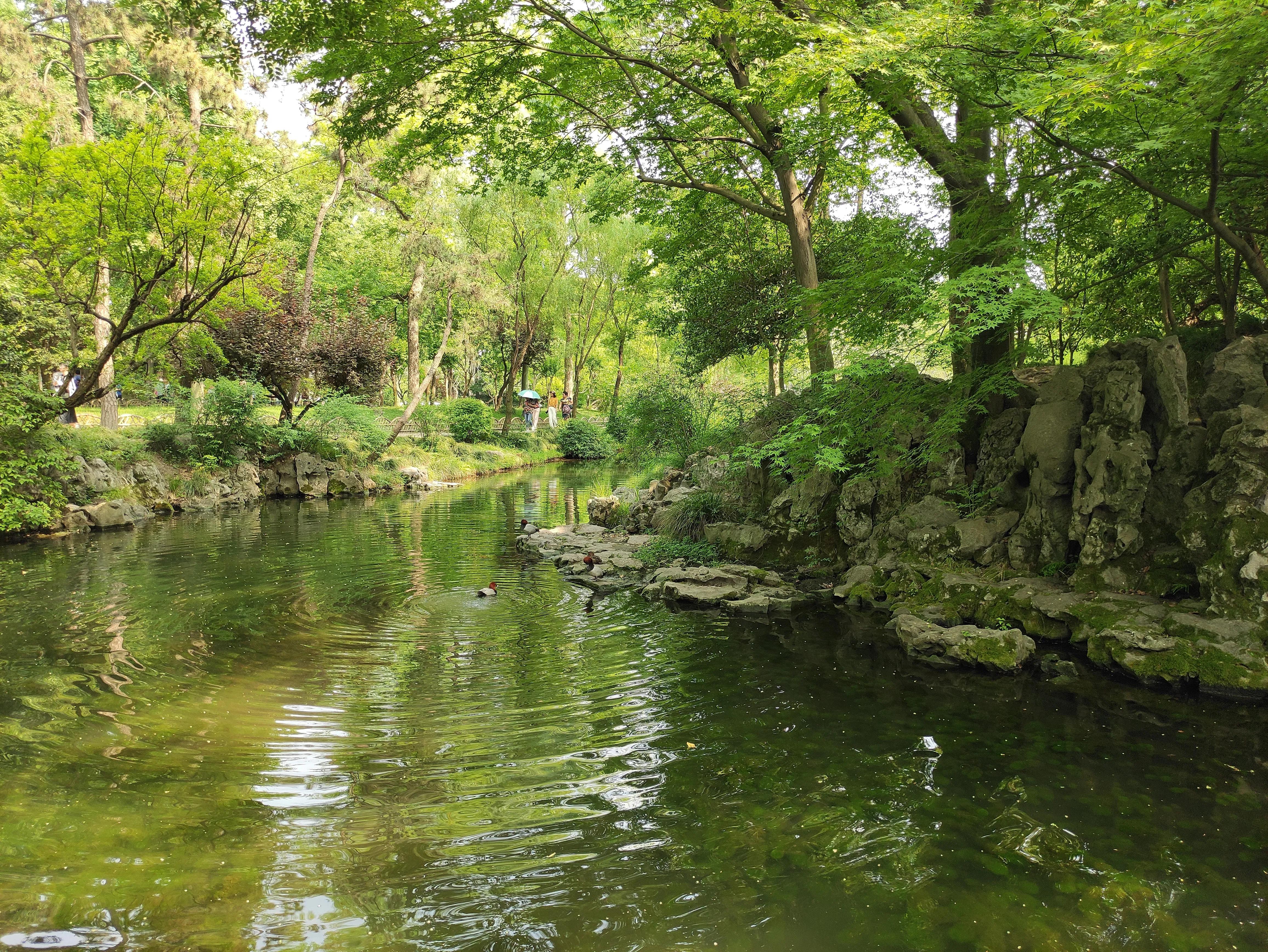 苏州园林拙政园预约,苏州园林拙政园民宿