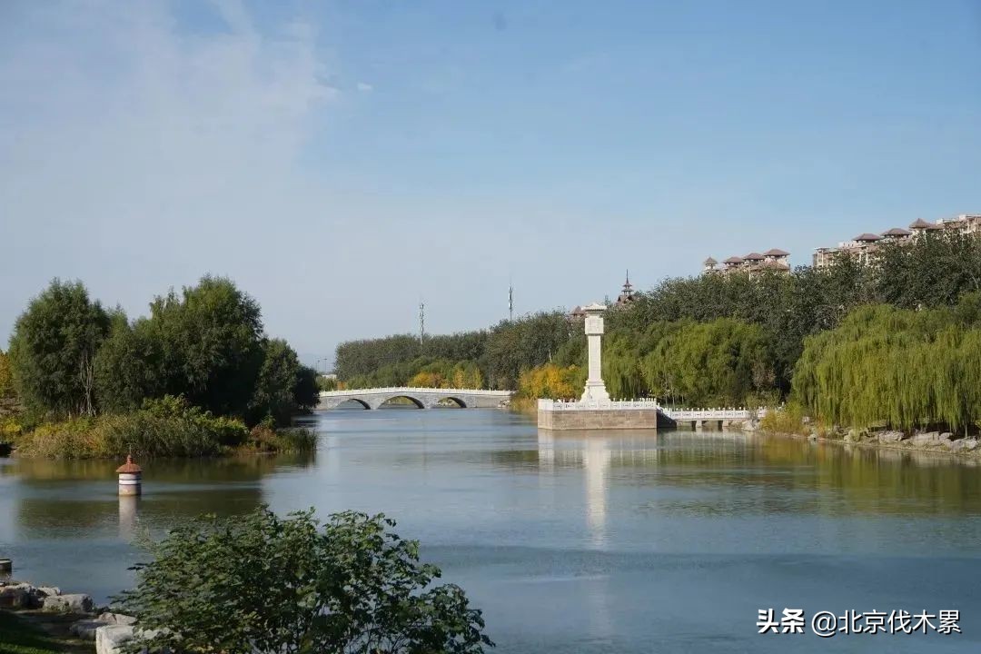 遛娃两不耽误,简直是周末遛娃遛狗的绝佳场地