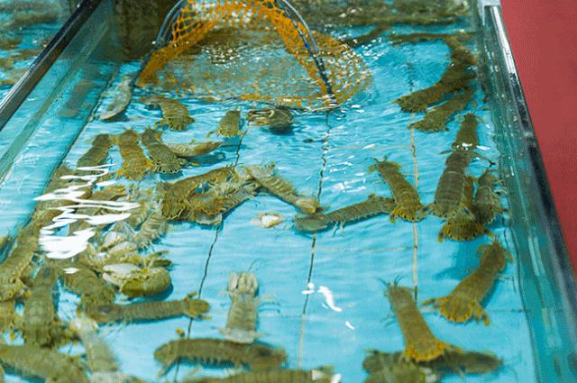 便宜平价美味海鲜,平价海鲜上海