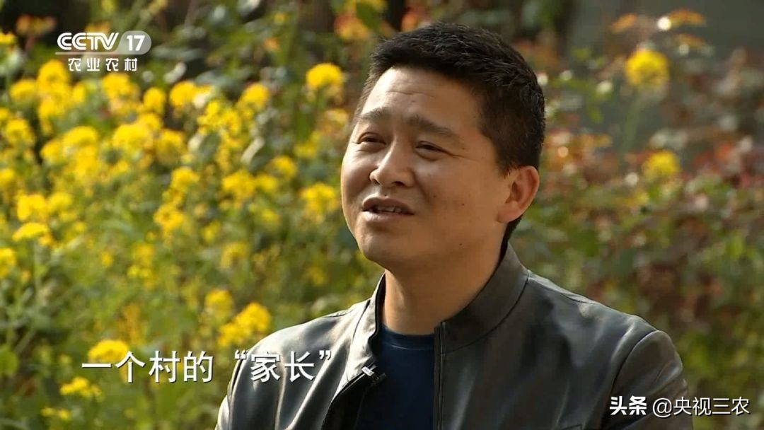 90后的湖北村支书,湖北最硬核村支书