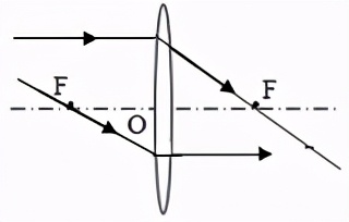 八下物理期中复习作图题,八年级下册物理期中考试实验题