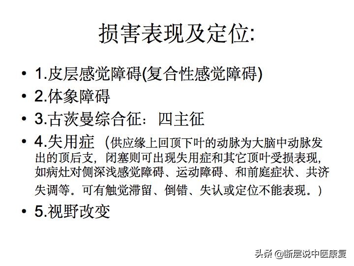 中枢神经系统断层解剖讲解,中枢神经3d解剖动画