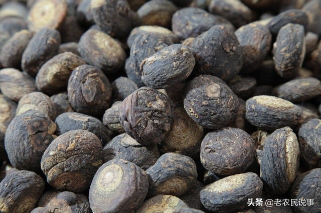 牛大力19元,牛大力为什么涨价