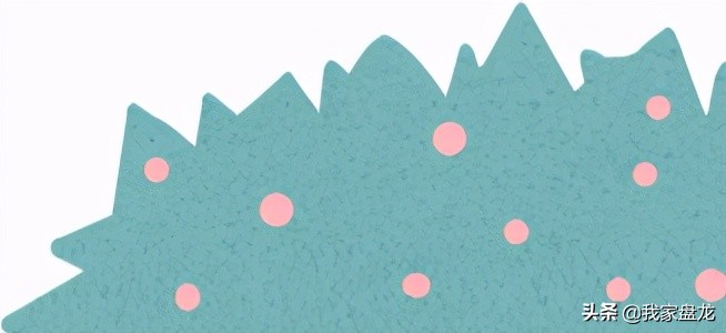 盘龙中学本科率,昆明市盘龙区高中