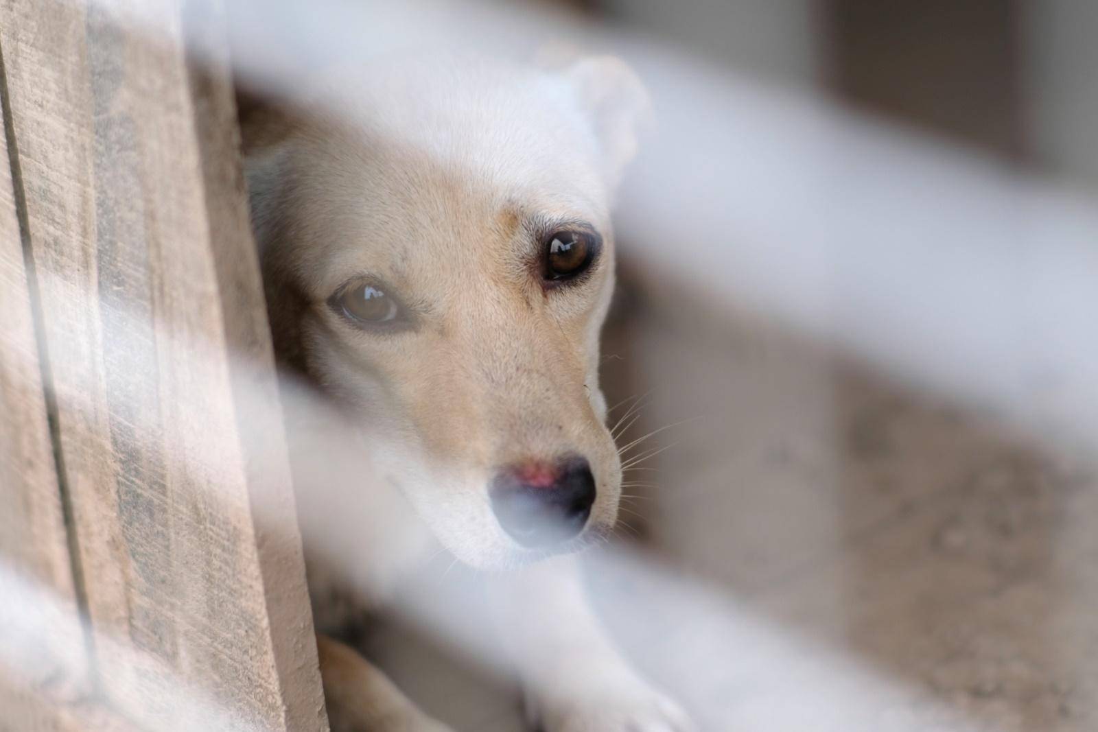 七工匠25mm镜头值不值得买,七工匠35mm1.7镜头值不值得买