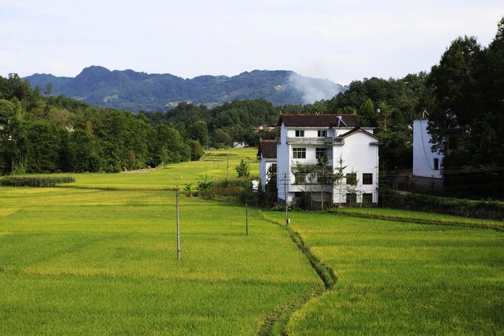 汉中龙池湖攻略,汉中龙池湖简介