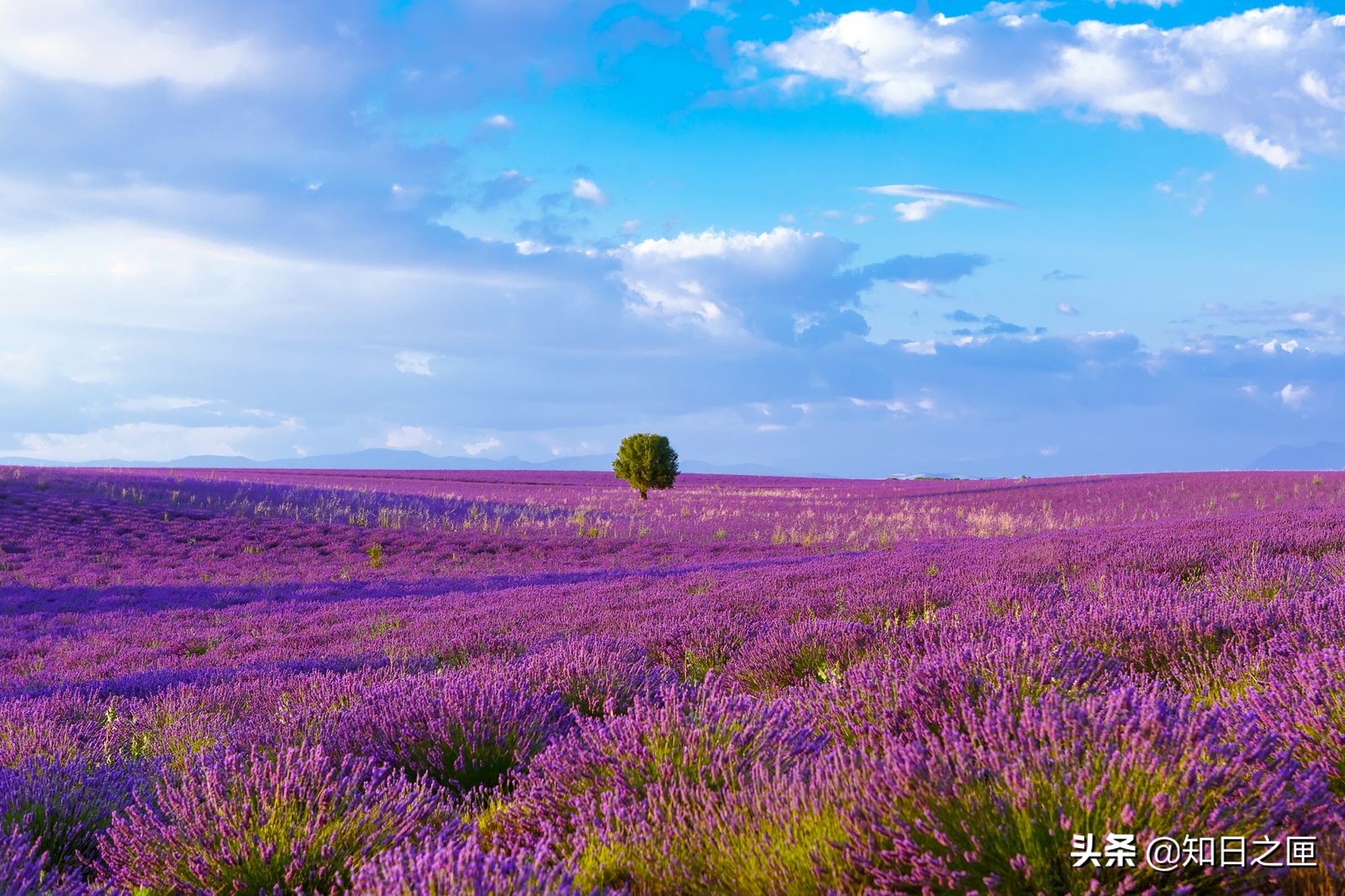 欧洲独自旅行,独自游欧洲攻略