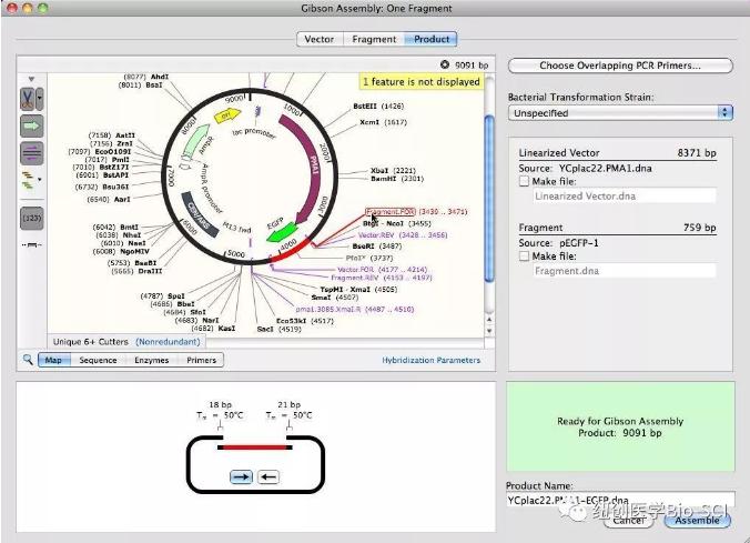 分子生物技术需要用到哪些app,分子生物学知识app介绍