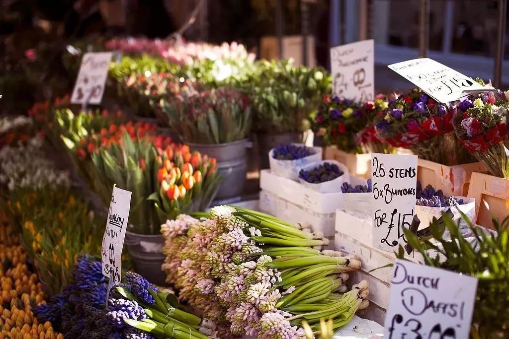 伦敦步行一日游攻略,伦敦人生活指南