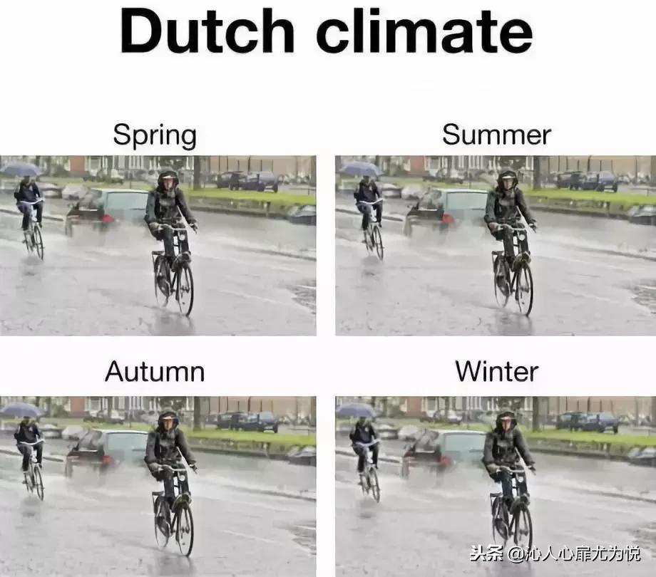 荷兰人为什么不爱拉窗帘？