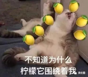 82岁万磁王剑桥毕业伦敦有房,去中国相亲还失败?