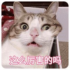 26个英文字母音序表,26个英文字母25个音变规则