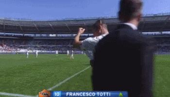 伊布36场视频,伊布意甲世界波