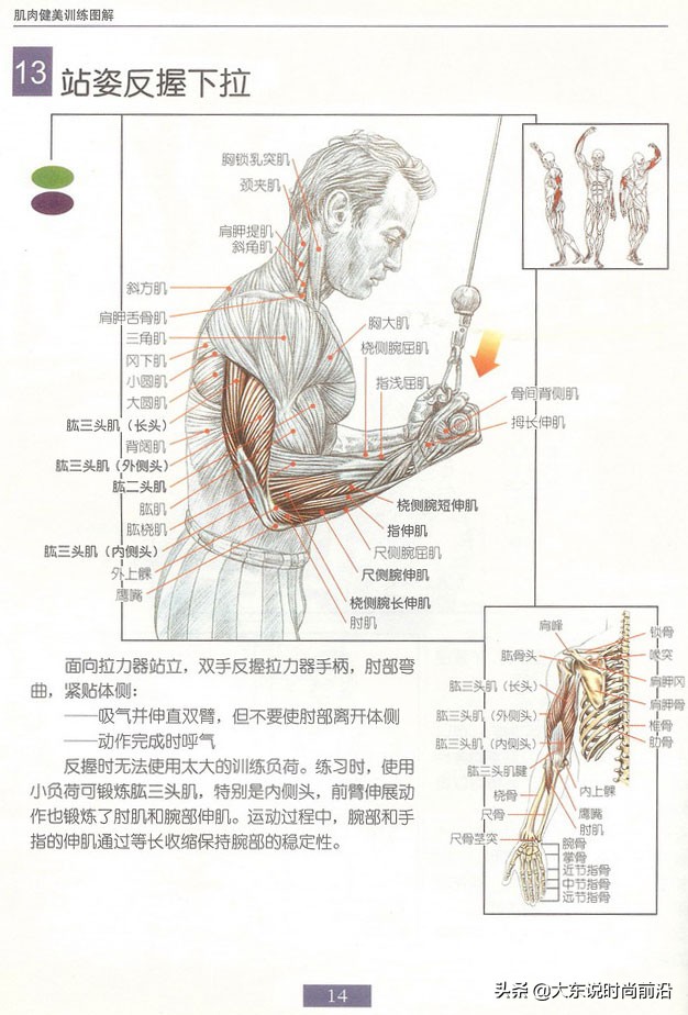 减脂健身计划一周表,减脂健身计划一周表图