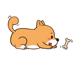 教师资格证体检表到哪里体检,教师资格证体检没带体检表可以吗