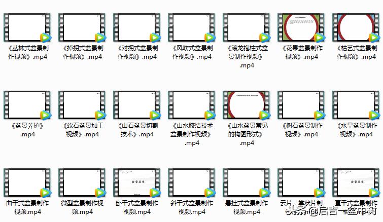 盆景欣赏直杆,双杆式直杆盆景的造型