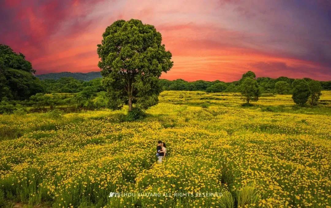 在你心中世界是什么颜色的,在你心中是什么样子的