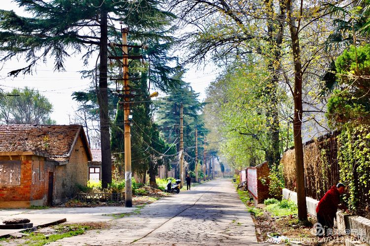 曾经的新安小香港,今日物是人非,探访洛阳水泥厂工人村