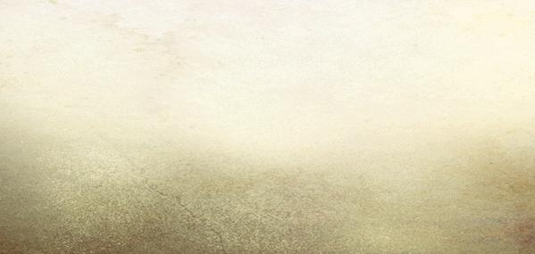 adidas所有鞋的款式,adidas鞋子所有款式