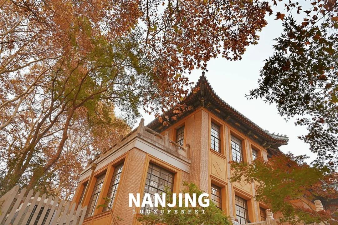 玩完南京去哪里玩景点推荐,南京钟山风景区秋天一日游攻略