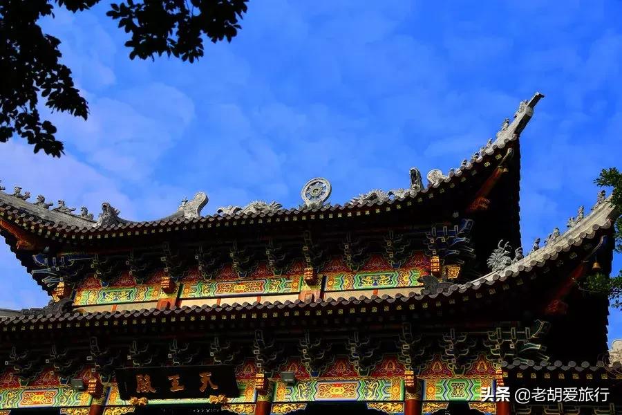 深圳周末春游好去处,深圳春游赏花去哪里好