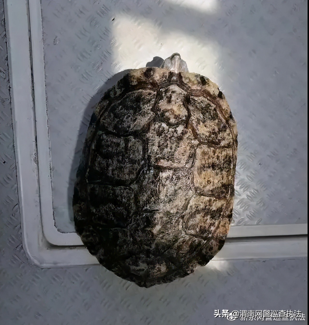 12339是什么电话有什么作用,12339对应电话是什么