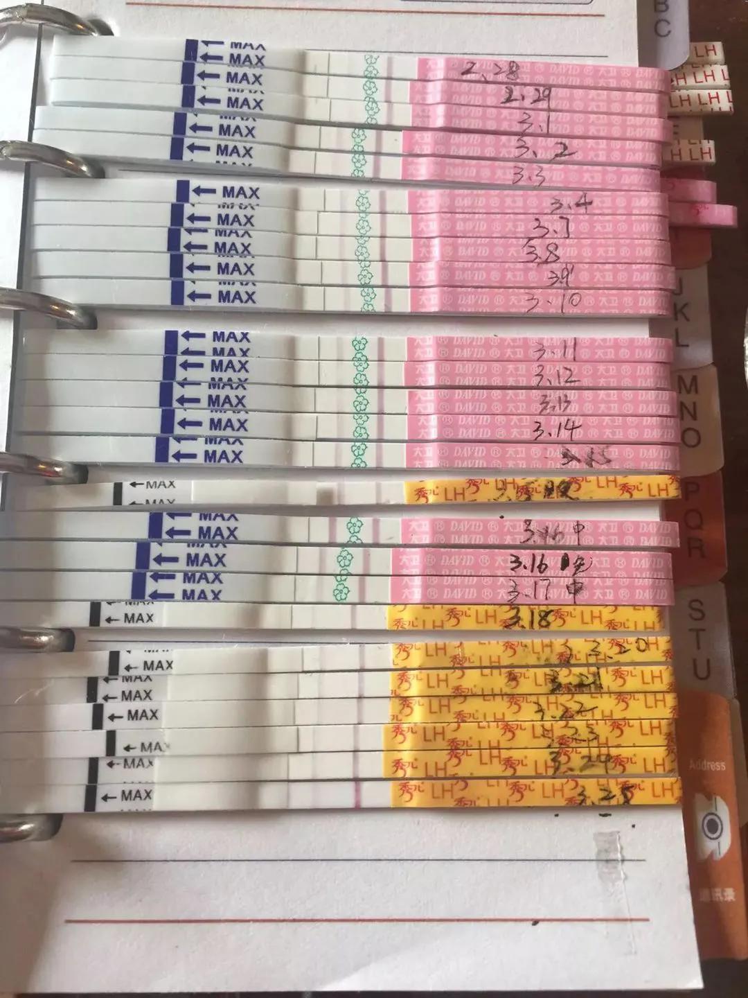 当取卵针戳进我的卵巢，把卵泡一颗颗吸出来时，丈夫在隔壁取精室看片取精|成为母亲