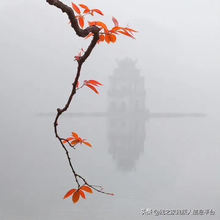 娈嬪弸鍘熷垱鏂囩珷,娈嬪弸